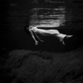 /album/fotogaleria/mf-406472876-55a3139db40a7a2c75ece5a3f663957e-jpg/
